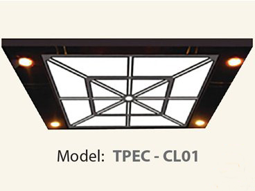 Mẫu trần thang máy TPEC CL01
