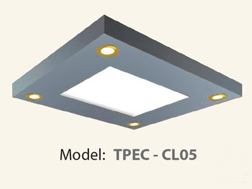 Mẫu trần thang máy TPEC CL05
